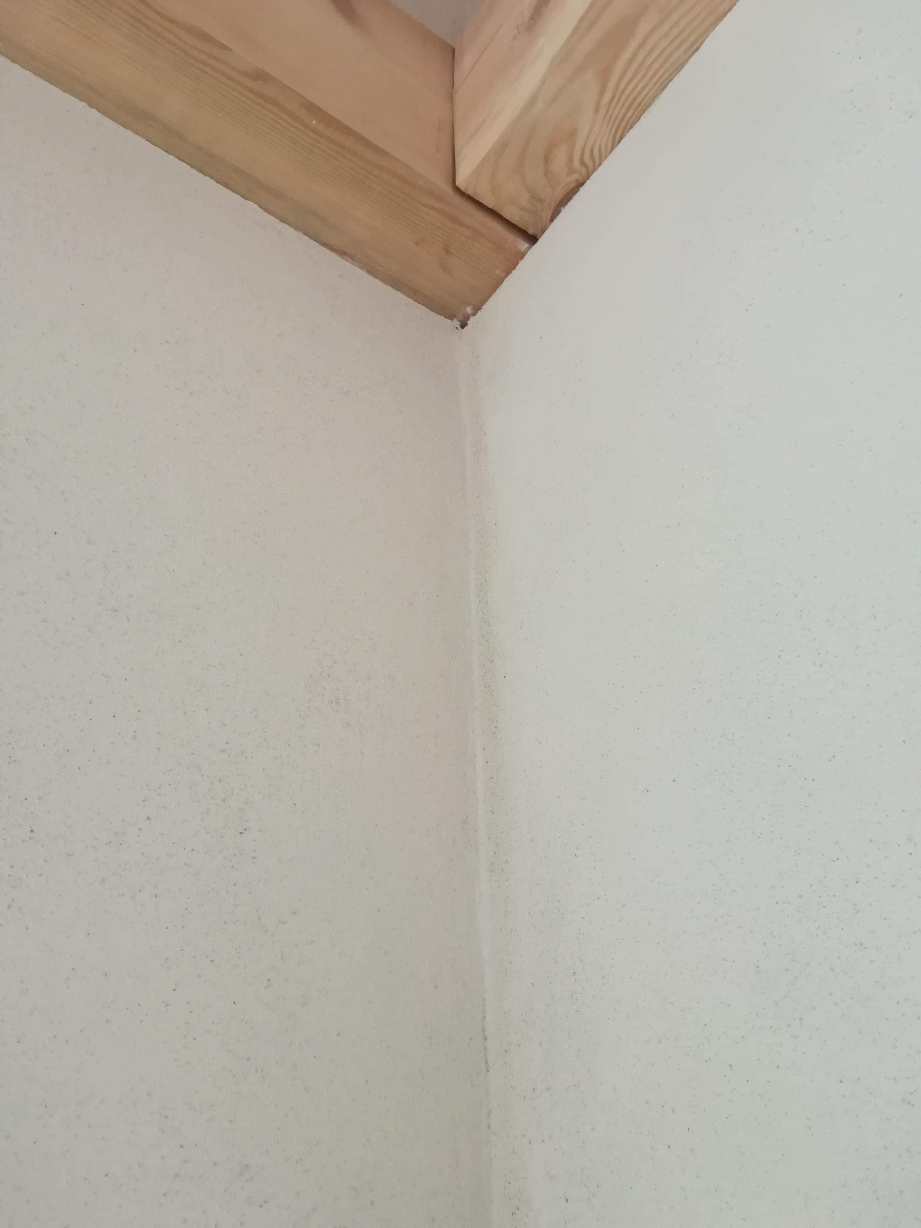 ściana z naturalnym tynkiem